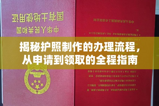 津南揭秘护照制作的办理流程，从申请到领取的全程指南